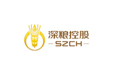 集团概况-大宝娱乐-都会配套开发运营国企实力