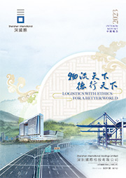 业绩报告-大宝娱乐-都会配套开发运营国企实力